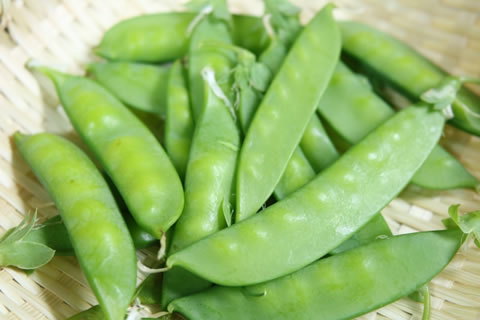 ���å�����