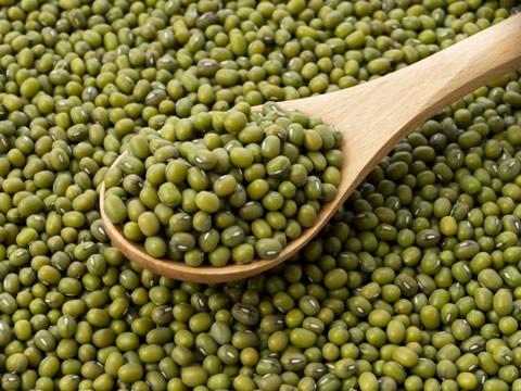 ��祯�ȥ����ľ�Ʀ��