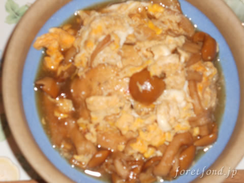 �ʤᤳ����Ȥ�