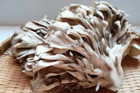 �ޤ�����