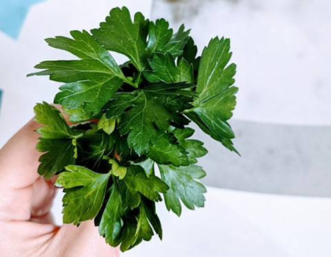 �����ꥢ��ѥ���