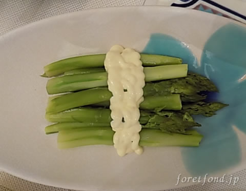 �����ѥ饬���Υ����ǥ����̥���������