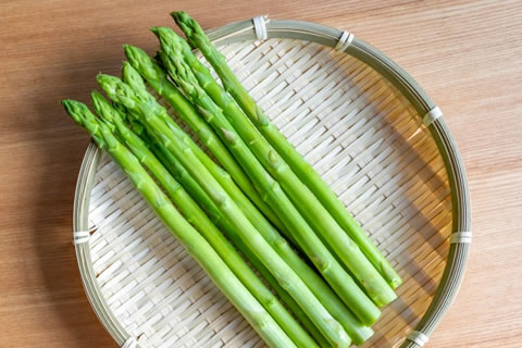 �����ѥ饬��