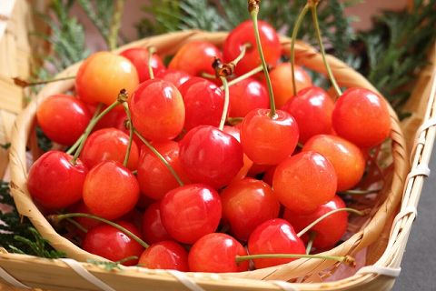 �������ܡʥ����꡼��