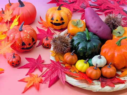 ���ܤ���