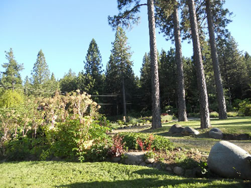 �ͥХ����ƥ����ʥ���ꥫ�����ߡˤˤ�