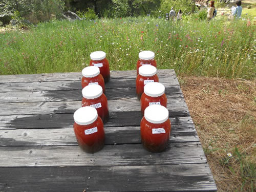 �ͥХ����ƥ����ʥ���ꥫ�����ߡˤˤ�