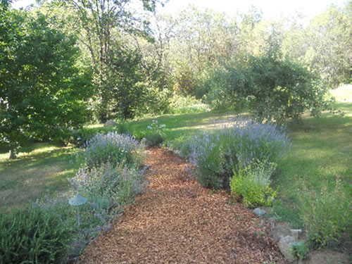 �ͥХ����ƥ����ʥ���ꥫ�����ߡˤˤ�